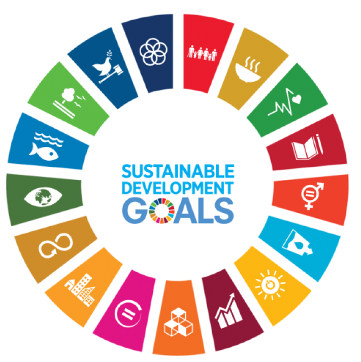 Sustainable Development Goals